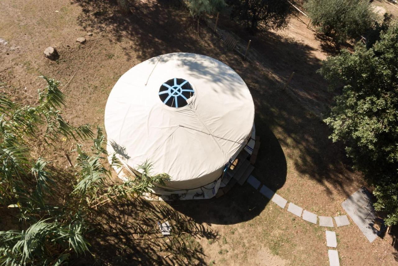 Alpaca Country House Pontedera Exterior photo