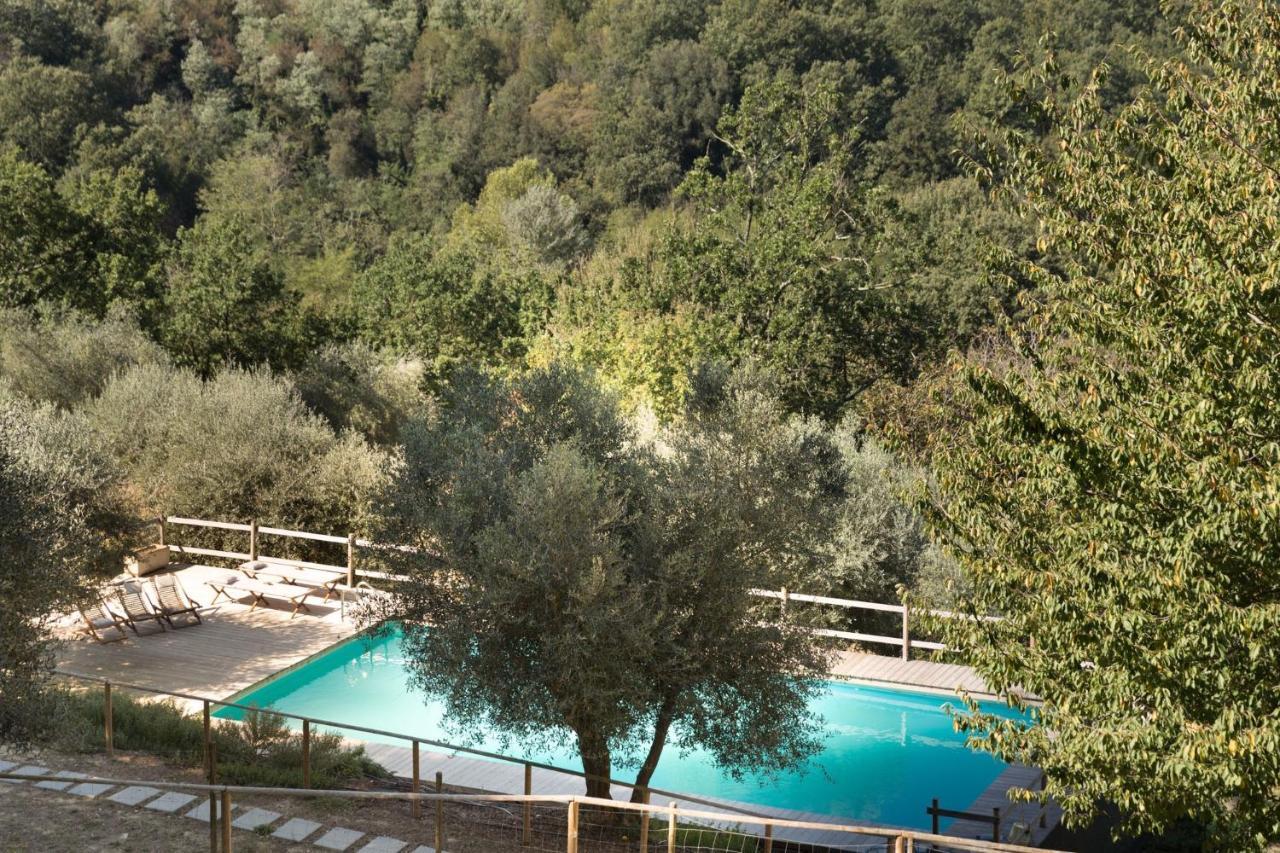 Alpaca Country House Pontedera Exterior photo