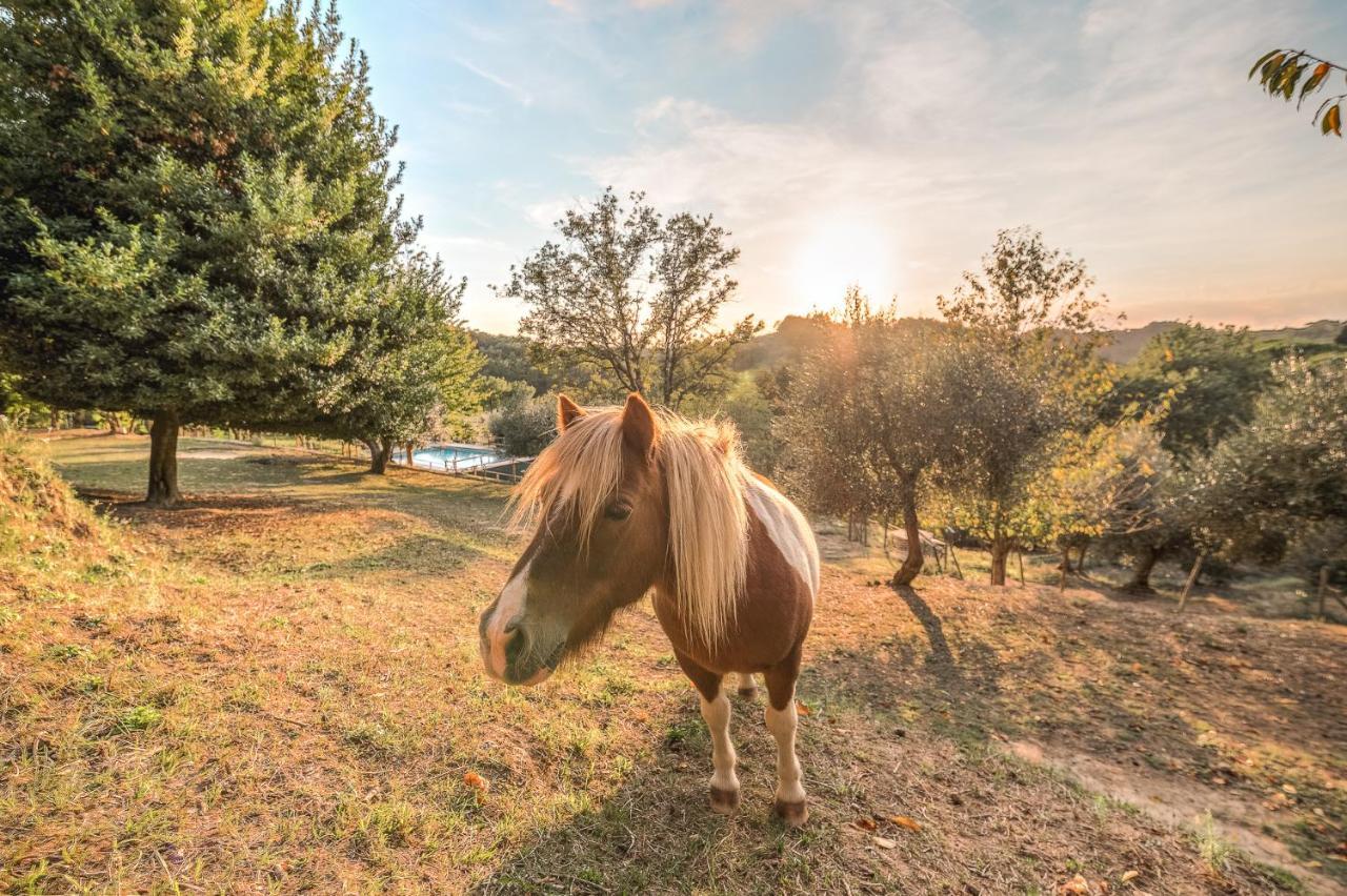 Alpaca Country House Pontedera Exterior photo
